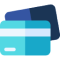 Online Payment